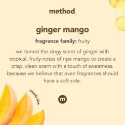 Method Ginger Mango Scent Laundry Detergent Liquid 53.5 Oz 1 Pk -Oolys Shop e454f75e 16ad 4bf8 8034 176e23d82c9e